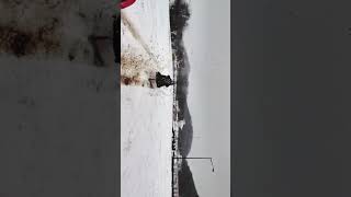 Canoe…sled…same thing. #carphotography #carfriends #snowmageddon #snowfun #whynot #funtime #funstuff