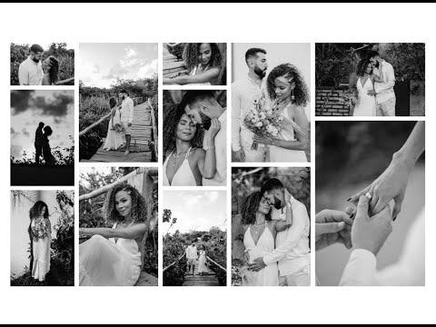 Monochrome Collection