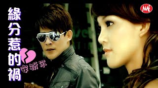 【网络情歌】安祈尔ANGELA《缘分惹的祸》(Official Video)
