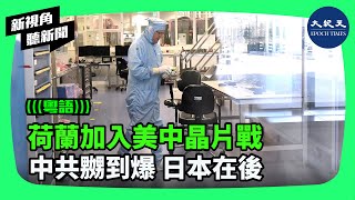 美中晶片戰蔓延，全球最重要的晶片設備製造商之一、歐洲最先進晶片製造技術生產國，荷蘭，已加入對抗中共行列。日本也有望在3月中發布晶片設備出口政策最新消息。 | #新視角聽新聞 #香港大紀元新唐人聯合新聞