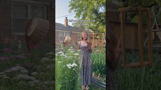 Harvesting & Freeze Drying Herbs #backyardgardening #growyourown #growyourownfood #harvest #garden