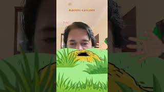 #filterchallenge #funfilter #trendingfilter