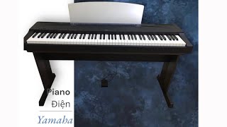 Đàn Piano Điện Yamaha P70