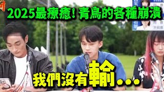 八炯嘴輸館長.閩南狼rap冷場.曹董精神勝利! 青鳥崩潰中2025最療癒紀錄片