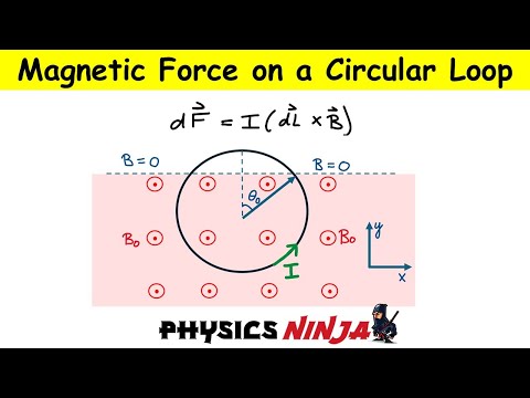 Magnetic Force on a Circular Loop