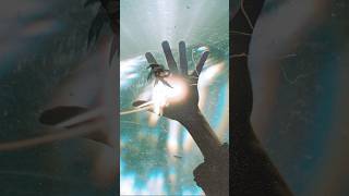 The Sky the Earth and All Between by Architects Review