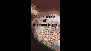 Iriomote Island- Japan's Hidden Paradise