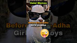 Halal memes of Eid-al-Adha 😂 Girls vs Boys #eidaladha #bakraeid #muslimcontent
