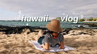 【hawaii vlog】夏威夷大岛旅行记录 ep1 | 超美的小众海滩 | 火山公园 | 看到了野生的海豚和海龟！| big island