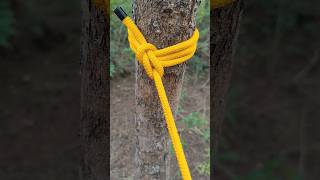 always safe and secure this