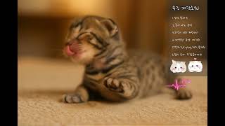 발라드+k-pop🦿ㅣ감성 자극 + 흥이 넘치는 노래!!👀