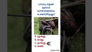 Gk questions 63 #gk #generalknowledgequestions #tamilgk #gkquestions #pothuarivutamil #gkshort #quiz