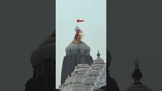 Mysterious Miracle Jagganath puri Temple #mystery #facts #puri #jagganath #travel #mysterioustemple