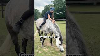 Guessing the pony😱 #horse #equestrian #horseriding #viralshorts #trending #amazing #fyp #foryou