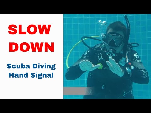 Slow Down - Scuba Diving Hand Signal