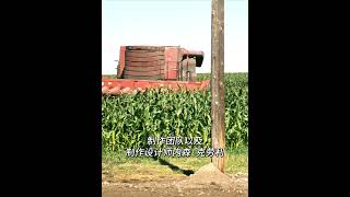 你知道吗，《星际穿越》里导演为了更真实的电影效果，竟真的去种玉米！#电影 #明星 #漫威