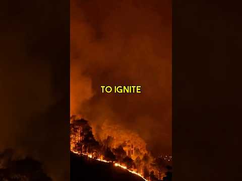 Fire in 30 Secs 🔥 | #survival  #firesigns   #emergency