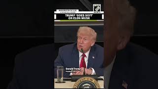'Won't drop Starlink or sell Tesla' President Donald Trump 'goes soft' on Elon Musk