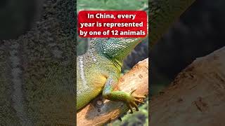 5 interesting facts about China🇨🇳!