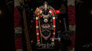 Om Muruga ☺️🙏🌿#shortsfeed #feedshorts #shorts #feed #ommuruga #devotional #bakthi #positivevibes