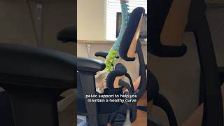 The BEST Office Chair For Posture!