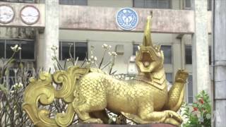 缅甸公民身份争论涉及种族宗教贫穷