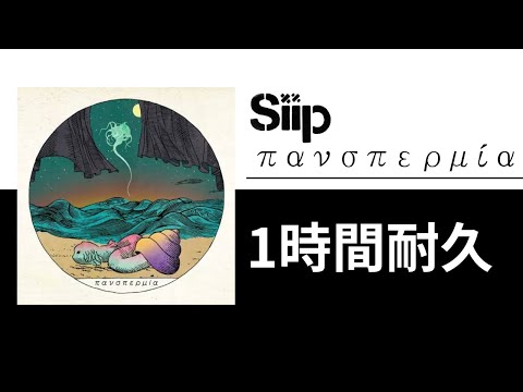Siip - πανσπερμία【1時間耐久】
