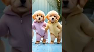 Cute Puppies Crazy Dance 😆| #funnyanimals #cutepuppy #dogshorts #funnyvideo #viraldance #540