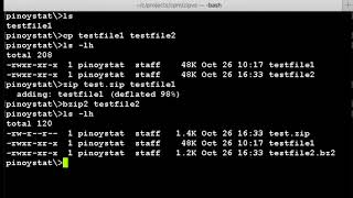 Which is  better in Compressing  a file ? ZIP or BZIP2 ?