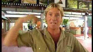 Australia Zoo Tour with Steve Irwin