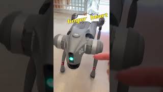 Quadruped robot Go2 test #AI #homerobot