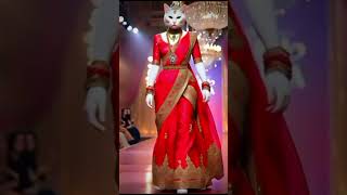 Cat Fashion Show walking #FashionCat #StylishCat #ImpossibleAIShots #CatContent #CatLover #Trending