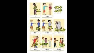 Personal pronouns in Amharic #english #ethiopianeducation #childhood #habesha #ethiopia #verbtohave