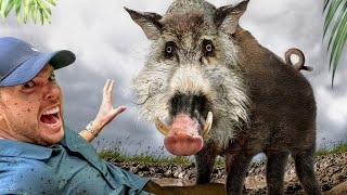 Scariest Pig on the Planet! (Bearded Pig of Borneo)
