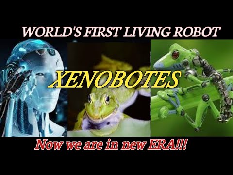 XENOBOTES/WORLD'S FIRST LIVING ROBOT/XENOBOTES DETAILS IN TAMIL