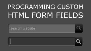2. Style Custom HTML Form Fields Tutorial Programming Process