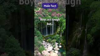 Boys act tough but cry over girls in silence