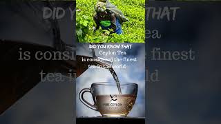 Did You Know? Ceylon Tea Is the Finest in the World | Vibe Ceylon Tours | Visit Sri Lanka#shorts