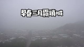 早春三月霧鎖城 26-3-2022