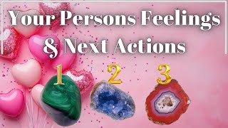 Your Persons Feelings & Next Actions ♥️Pick A Card♥️