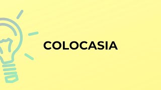 What is the meaning of the word COLOCASIA?
