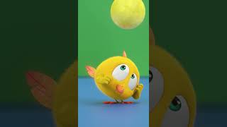 Chicky and her new boyfriend #chicky | Chicky Cartoon in English for kids