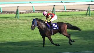 【スプリンターズステークス2022】本馬場入場 現地映像 ジャンダルム