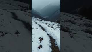 landscape from the snow-capped mountains #shorts #landscapes  #noloops