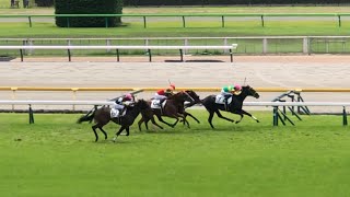 【現地】エコロデュエル 3歳未勝利