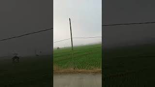 majenang cilacap#majenang #karangpucung
