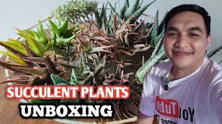 SUCCULENT PLANTS UNBOXING...