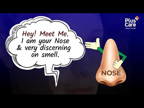 Hey ! I am your Nose