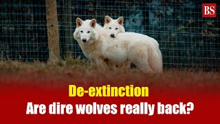 De-extinction: Are dire wolves really back? Colossal biosciences
