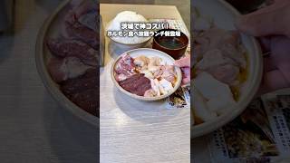 茨城グルメ【土日祝限定ホルモン食べ放題ランチ定食がコスパ最高！】水戸 つくば　ときわ亭